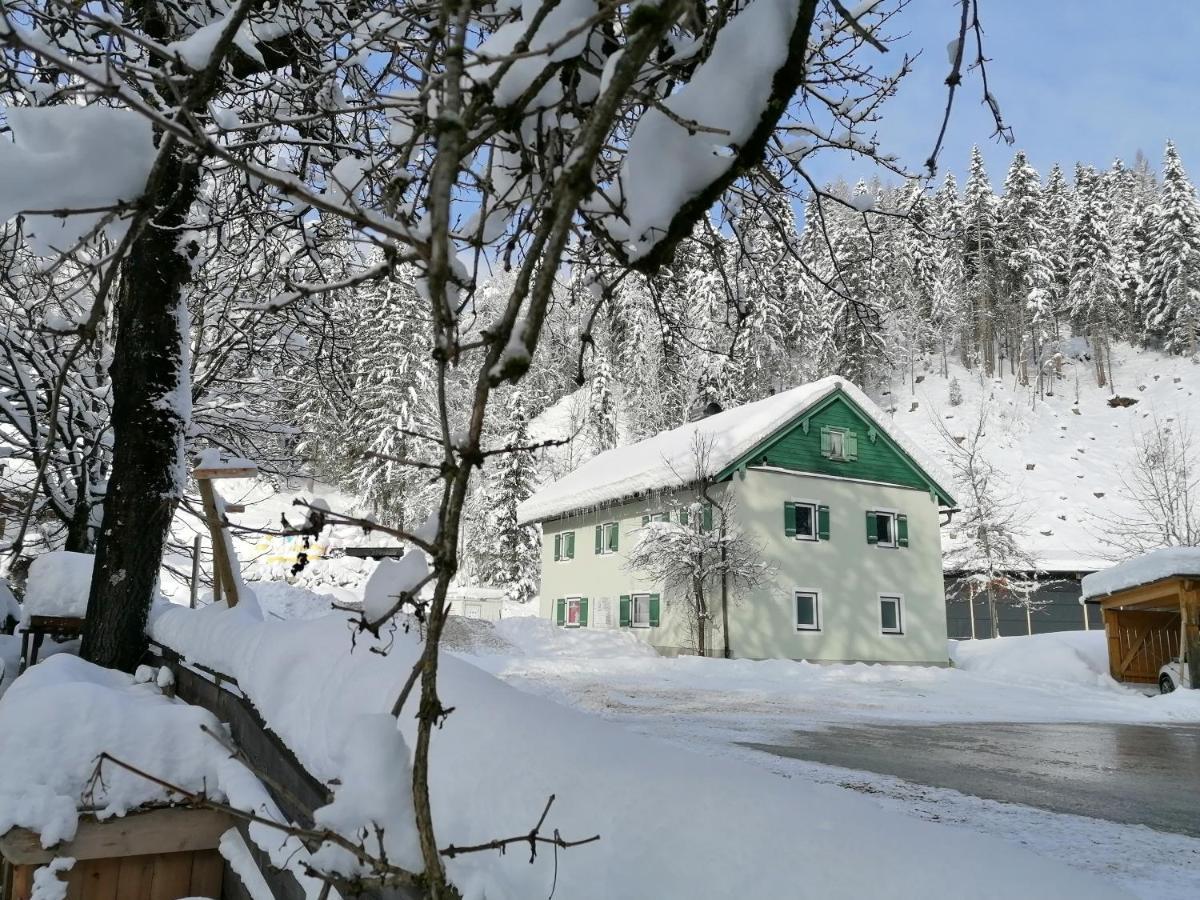 Ferienwohnung Saunahaus Annaberg im Lammertal Exterior foto